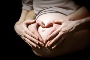 Gravid